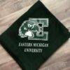 College blanket  - your choice of color and college - Image 4