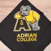 College blanket  - your choice of color and college - Image 9